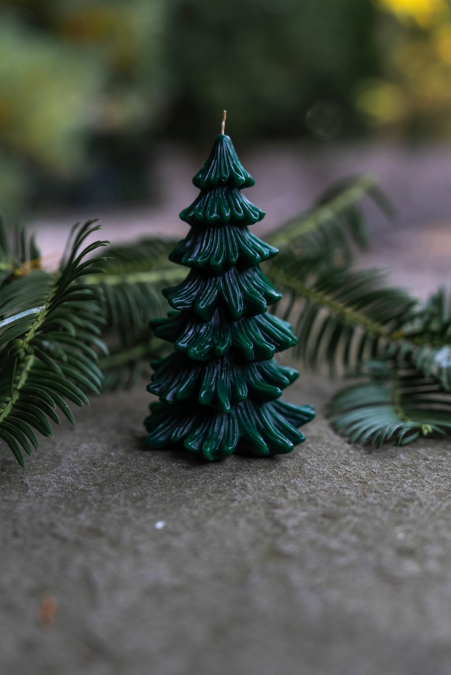 Conifer Trees Beeswax Candles