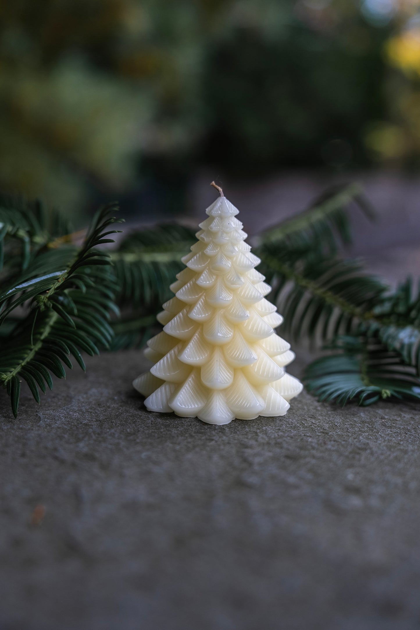 Conifer Trees Beeswax Candles