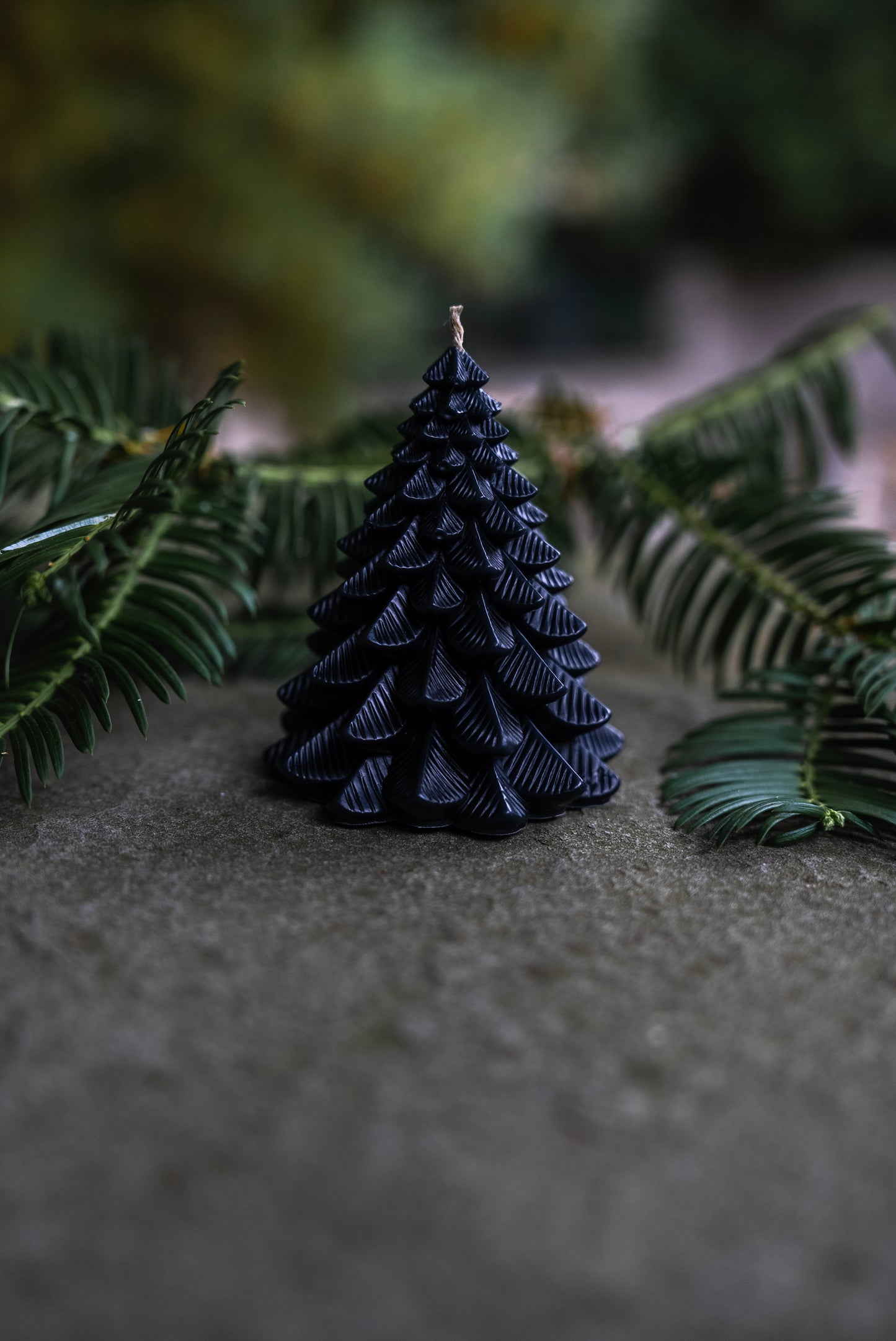 Conifer Trees Beeswax Candles