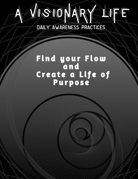 A Visionary Life Daily Awareness Practices an Elevated Habit Tracking Journal- Black & White